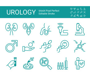 Set of line icons of urology. Editable vector stroke. 64x64 Pixel Perfect.