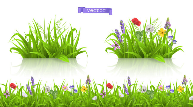 Wild flowers, spring grass seamless pattern 3d realistic vector