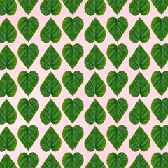 Creative pattern heart shape of green leaf on light pink background. Valentine day concept. Flat lay.