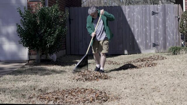 A senior adult homeowner working in his hard raking up leaves on a cool sunny morning.