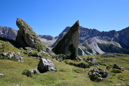 Felsen