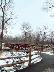 wooden bridge in the park