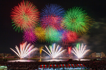 東京　足立の花火