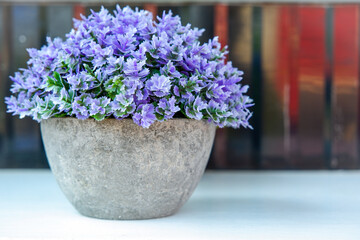 Plastic Pouplr flower in a pot