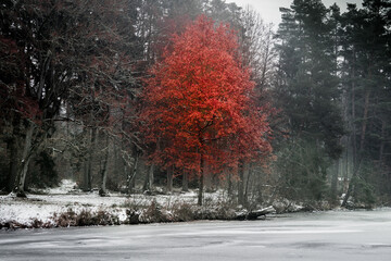 Winter is coming!