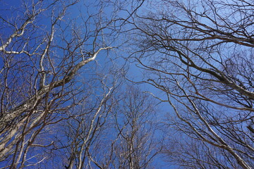 三峰山　登山道