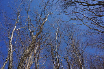三峰山　登山道
