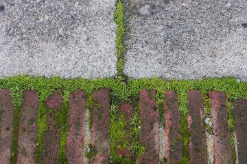Abstract stone and brick texture with moss