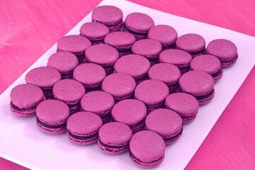 Colorful pink and purple macaron cookie filled with ganache cream