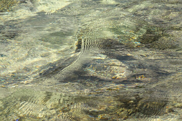 Crystal clear lake water overlooking the bottom