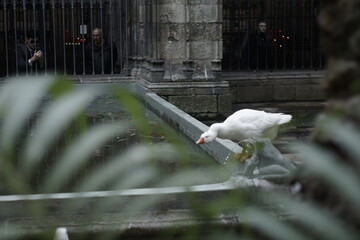 fountain in the park
