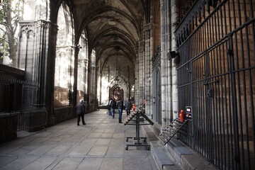 woman walking in the street