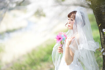 満開の桜　桜の背景　ウエディング　日本人の花嫁のポートレート　新婦　結婚式前撮り写真