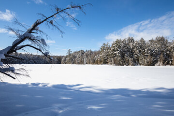 Fototapeta na wymiar Frozen lake scene with forests and bright blue sky