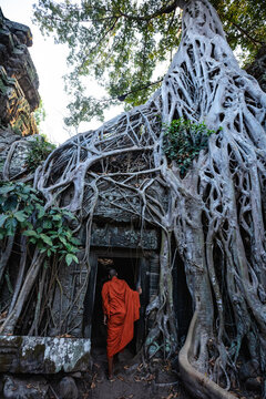 Buddhist monk entering into famous temple, Angkor, Cambodia