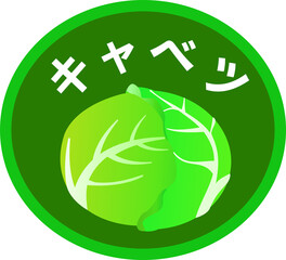 可愛いキャベツ