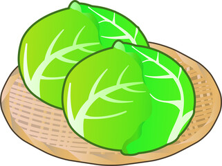 ザルにのった可愛いキャベツ