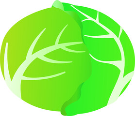 可愛いキャベツ