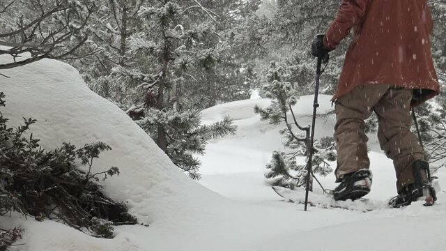 Slowmotion of a snowboarder crossing a forest with his splitboard while it snows.