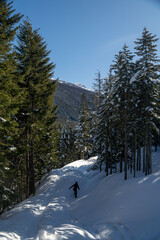 Pictures of the ski slopes at Whistler, BC, Canada. 