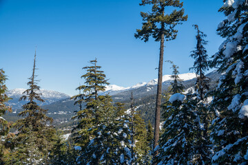 Pictures of the ski slopes at Whistler, BC, Canada. 