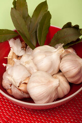 garlics on a green background