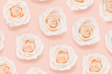 Flat lay floral pattern from pink white rose flowers pastel colored, abstract environmental background.