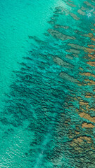 aerial drone over polihale beach showing reef