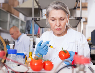 Professional female geneticist working in laboratory, injecting additives into tomatoes during...