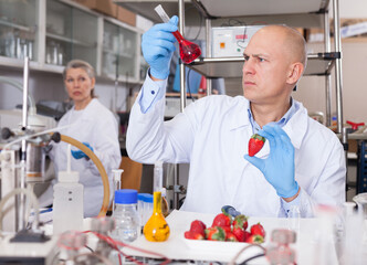 Experienced biochemist checking fruits and vegetables for nitrates and pesticides in modern...