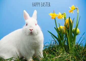 Happy easter text with daffodils and easter bunny on blue background