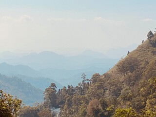 Fototapeta na wymiar Sri Lanka Ella Mountain view into the distance presenting natural silhouettes in beautiful light