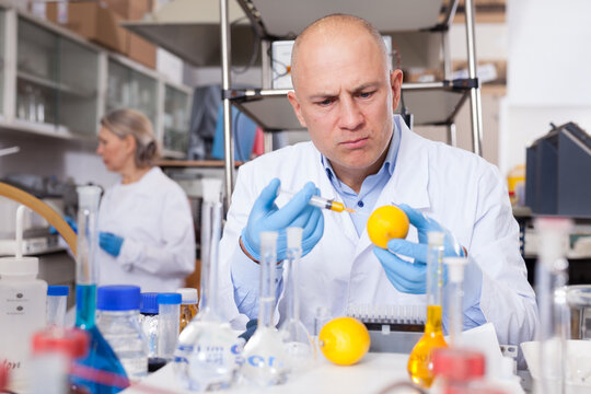 Experienced Biochemist Performing GMO Experiments In Modern Laboratory, Injecting Chemical Substances Into Lemon