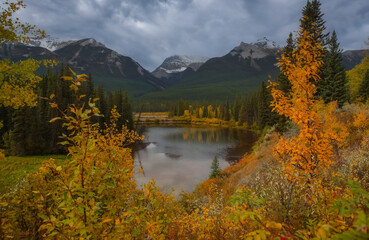 Scenic Canadian rocky mountains by the Bow river in Banff national park