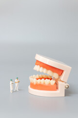 Miniature people : Dentist repairing human teeth with gums and enamel , Health and medical concept