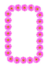 Summer bright frames of floral motifs - gerbera flowers. Cover for a book or notepad, postcard.