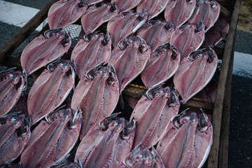 日干し中のアジ