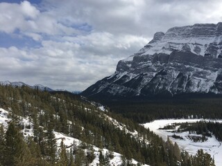 Shoots in Banff National Park 