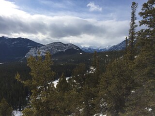 Shoots in Banff National Park 