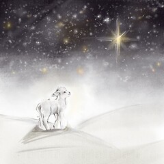 A cute white lamb looks up at the starry night sky. Christmas card. © Юлия Кокорина