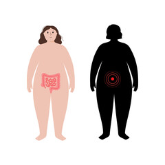 Organs in obese human body
