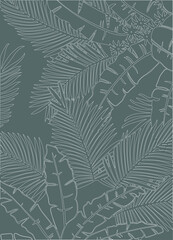 White lined art banana leaves and tree is tropical plant on gray color background, flat line vector and illustration.