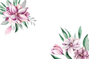 Banner Spring Magnolia Flowers clipart Delicate floral bouquet of magnolia on a white background
