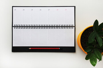 diary planner, planning, plan, work, flat lay, office table, write plan, timeline