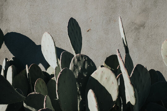 abstract background