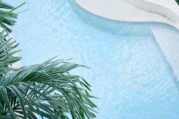 Pool with blue water top view with palm branch on foreground.