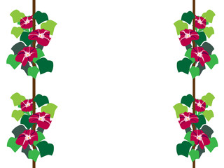 朝顔による演出pink