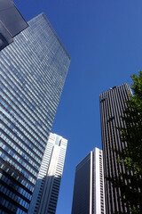 Fototapeta na wymiar 東京新宿西口にそびえ立つ副都心の高層ビル群