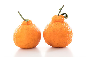Two ugly oranges on a white background