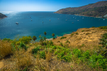 Wallpaper blurred nature of the twilight light in the evening by the large water basin surrounded by big trees, the integrity of the forest